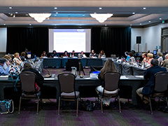 Panel presentation during IACC meeting