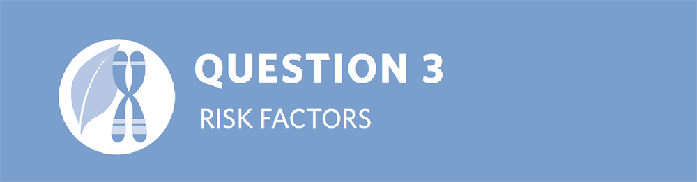 Strategic Plan Question 3 Risk Factors