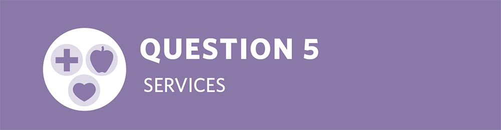 Strategic Plan Question 5 Services