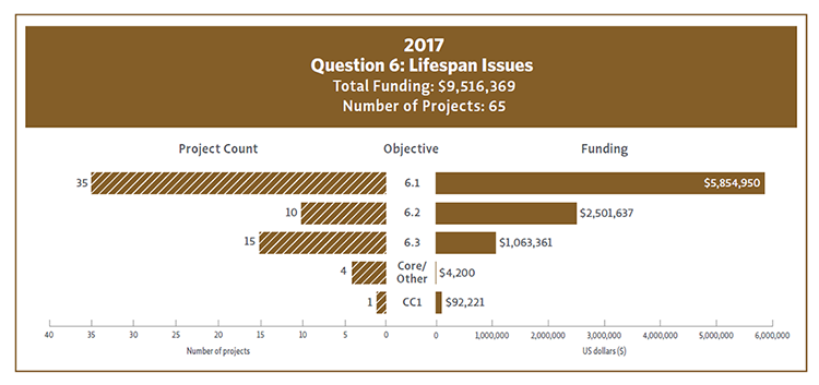 Bar Chart showing 2017 funding and project count by Question 6