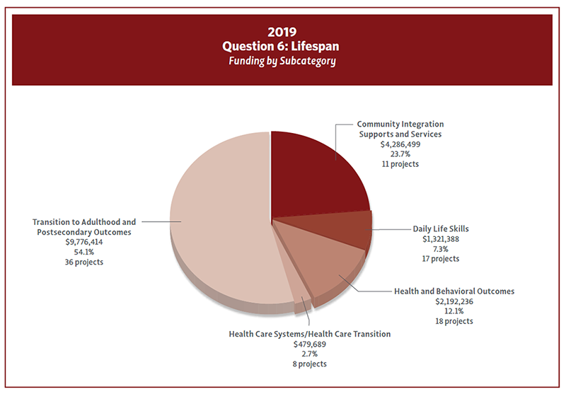 Pie chart showing 2019 Question 6 funding by Subcategory.