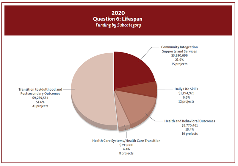 Piechart showing 2020 Question 6 funding by Subcategory.