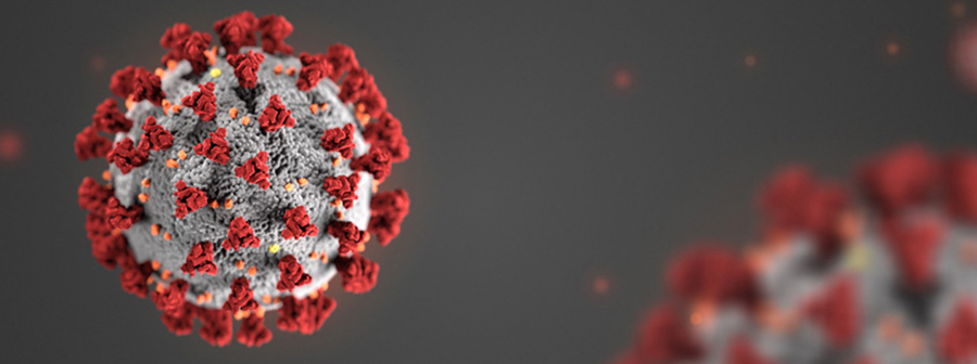 3D Illustration of Novel Coronavirus