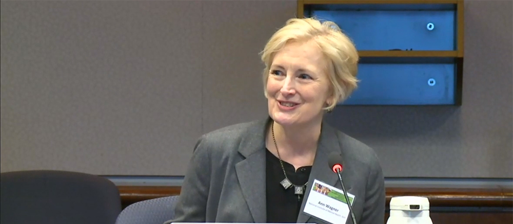 Ann Wagner, National Autism Coordinator