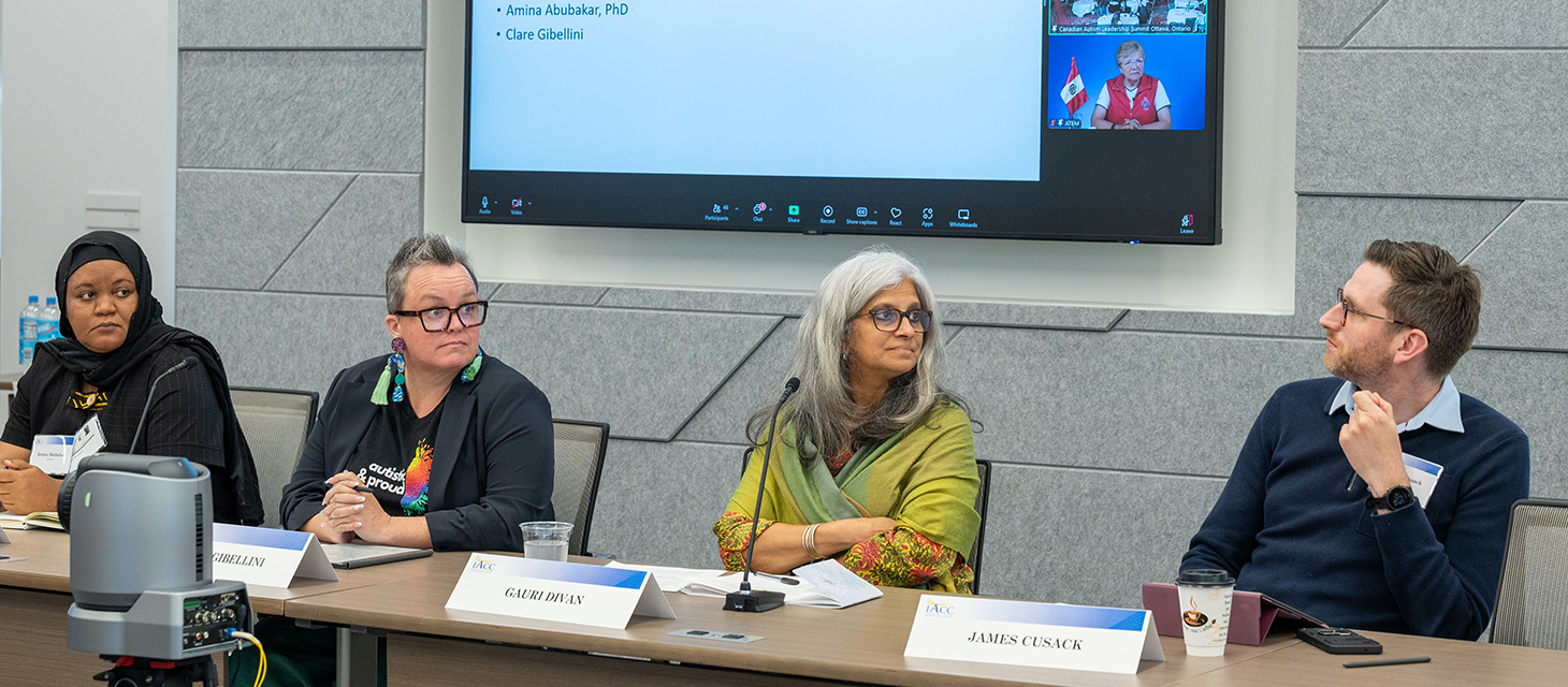 James Cusack, Gauri Divan, Amina Abubakar, and Clare Gibellini at IACC Committee meeting