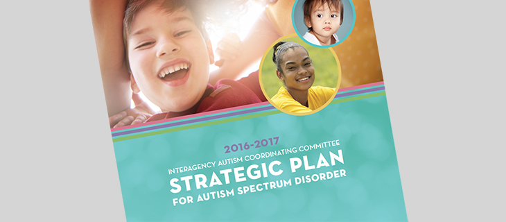 IACC Strategic Plan 2017 Cover