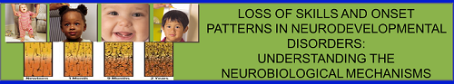 Meeting title: Loss of Skills and Onset Patterns in Neurodevelopmental Disorders: Understanding the Neurobiological Mechanisms Announcement