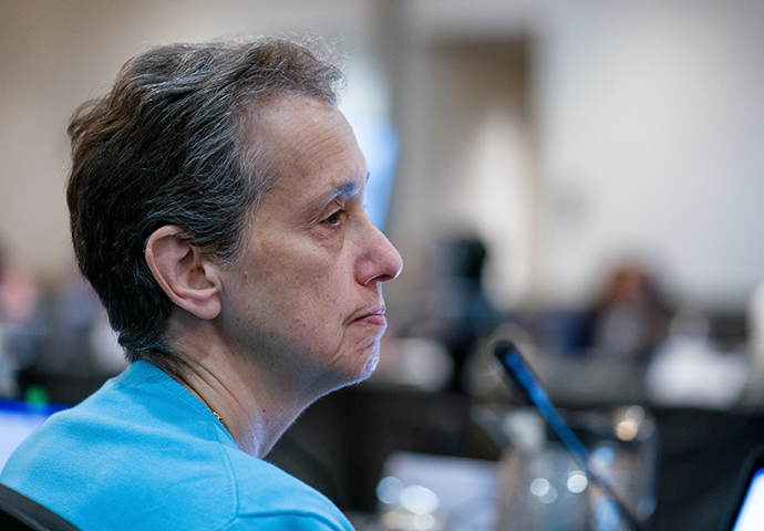 Woman listening to presentation during 2019 IACC Full Committee Meeting