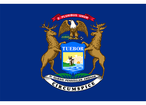 State of Michigan Flag